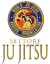 Logo Settore Ju Jitsu